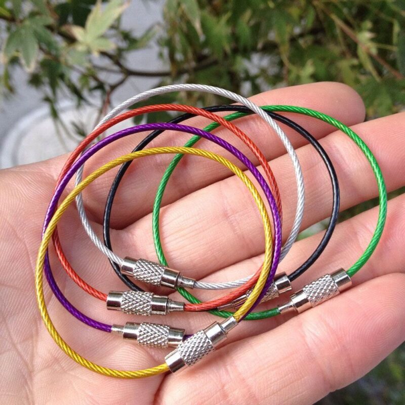 10Pcs Colorful EDC Keychain Stainless Steel Carabiner Key Holder Outdoor Tools Wire Keyrings Cable Rope Screw Locking Key Chain - Image 2